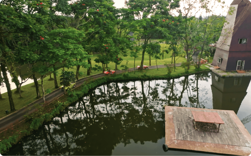 Woman walking toward a cherry blossom tree