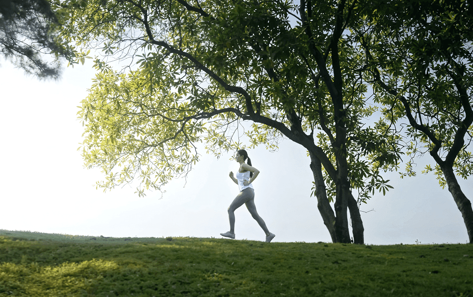 Person walking under trees