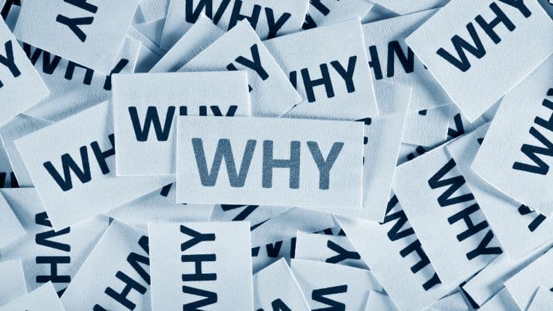 Video Transforms Everything for Traditional Media: WHY